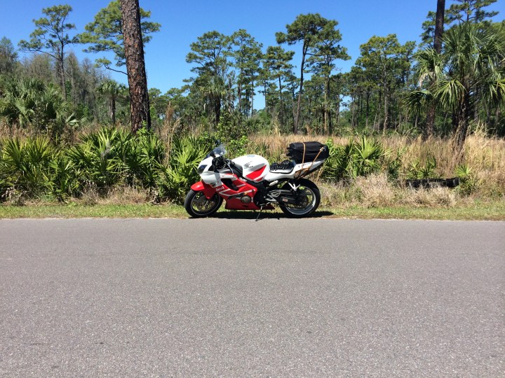 A random state park a ran across