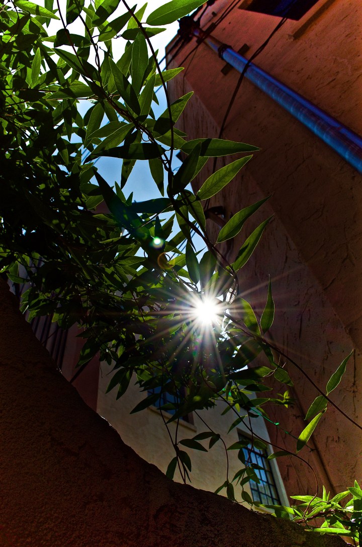 ?ואם לא עכשיו, אימתי “And if not now, then when?” (Pirkei Avoth&nbsp;1:14)